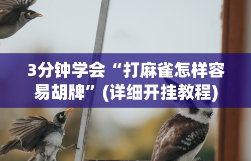 玩家辅助神器“棋牌到底有没有开挂”原来可以开挂