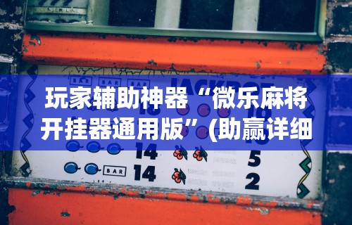 最新一款“微乐麻将怎么提高胜率详细教程”附透视挂详细教程 