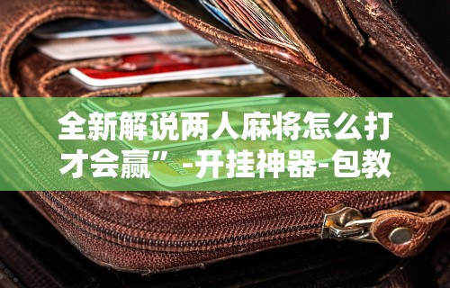 【终于出现】“星悦陕西麻将记牌器”详细分享装挂