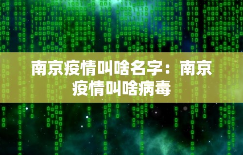 【盘点十款】“天天爱贯蛋怎么开挂”详细辅助教程分享