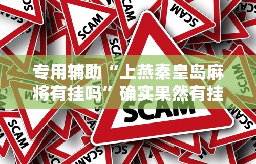 使用分享“微乐必赢辅助器安装教程	”确实有挂