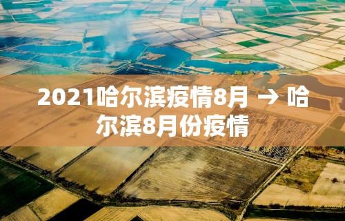 2026首发辅助“终于知道打微乐麻将老输怎么办”详细分享装挂步骤