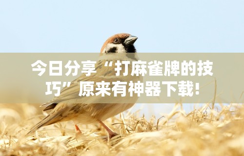 [解答]“在微乐上打麻将一直输”必胜开挂神器
