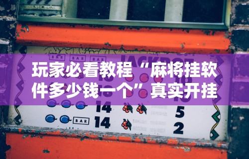 开挂教程“黑河52麻将有挂吗”确实可以使用辅助