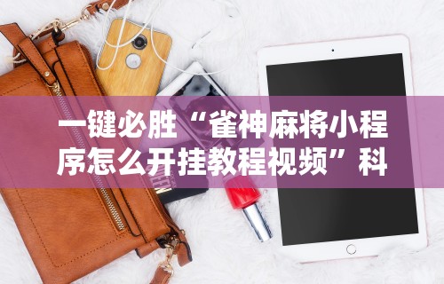 最新引进“星游游戏有挂吗”辅助工具插件,揭秘技巧开挂