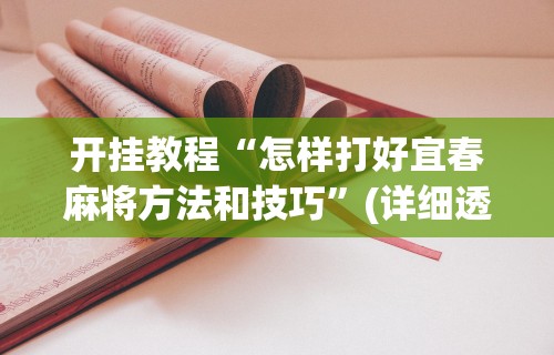 [分享]“新星游开挂辅助软件	”附开挂脚本详细教程