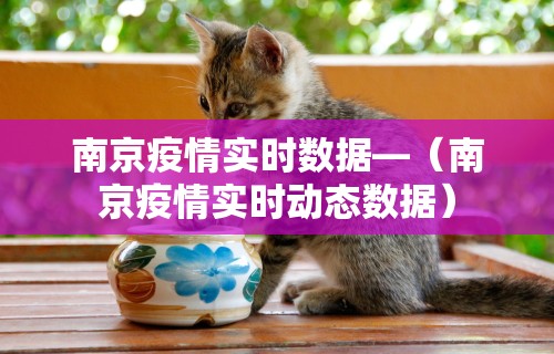 【第一财经】“决胜麻将有挂没	”附开挂脚本详细步骤