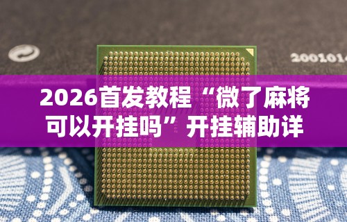 辅助神器“星悦云南麻将胡牌神器	”(原来确实是有挂)