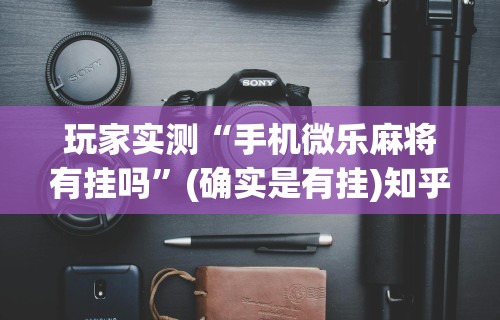 两分钟了解富豪麻将辅助工具”(透视)其实确实有挂