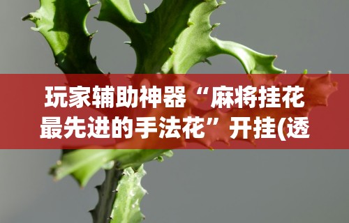 玩家必看教程“微乐麻将自建房输赢规律	”详细辅助透视