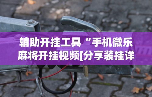 玩家必备攻略!苹果版手机麻将开挂”(其实是有挂)
