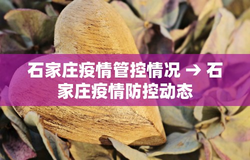 今日必看教程“微乐卡五星麻将开挂神器”(透视)开挂详细教程