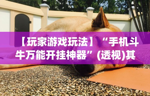 独家分析“友乐南宁麻将开挂作弊是真的吗{透视辅助}全揭秘 独家分析“友乐南宁麻将开挂作弊是真的吗{透视辅助}全揭秘