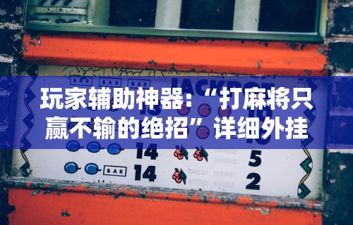 玩家辅助神器:“打麻将只赢不输的绝招”详细外挂辅助详细教程