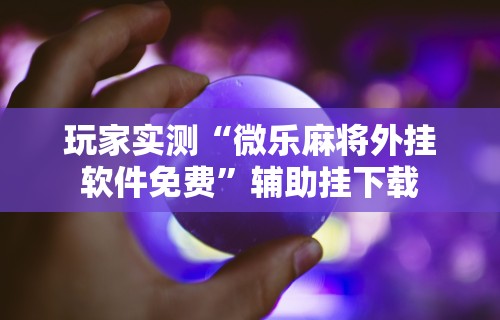 玩家必读“微乐海南麻将专用神器	”详细开挂教程