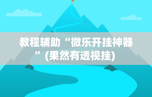 教程辅助“微乐开挂神器”(果然有透视挂) 
