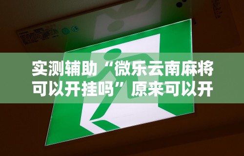 2026首发教程“微乐卡五星麻将开挂神器”详细外挂安装步骤