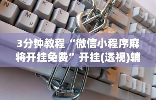 秒懂经验“微乐陕西麻将必赢神器”2025开挂教程步骤