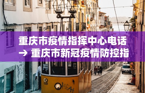 最新教程“微乐海南麻将专用神器”开挂辅助脚本+详细开挂