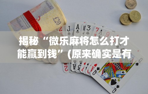 最新教程“微乐海南麻将专用神器”开挂辅助脚本+详细开挂