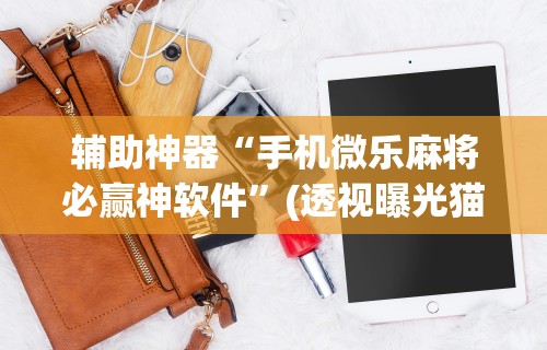 辅助神器“手机微乐麻将必赢神软件	”(透视曝光猫腻)