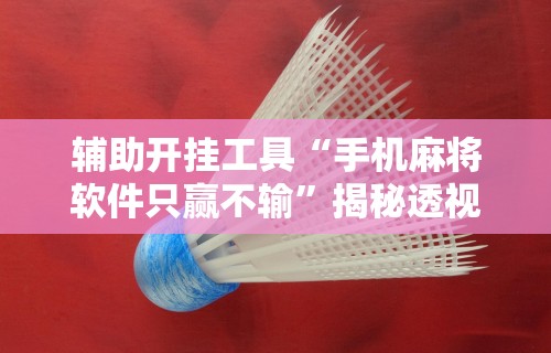 7分钟揭秘"微乐麻将挂是真的吗?	”开挂辅助软件教程