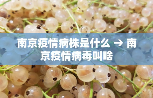 分析必看“微乐亲友房开挂神器怎么用”真实开挂技巧分享