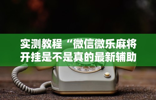 玩家爆料“微乐麻将怎么可以赢”(果然有透视挂)