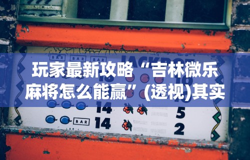 盼盼分享“微乐麻将亲友房怎么提高胜率”掌握辅助功能必胜规则