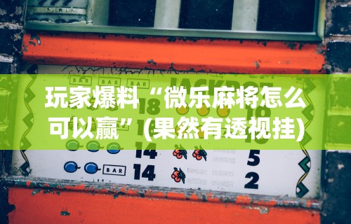 辅助盘点“同城游比鸡可以开挂吗	”确实可以使用辅助