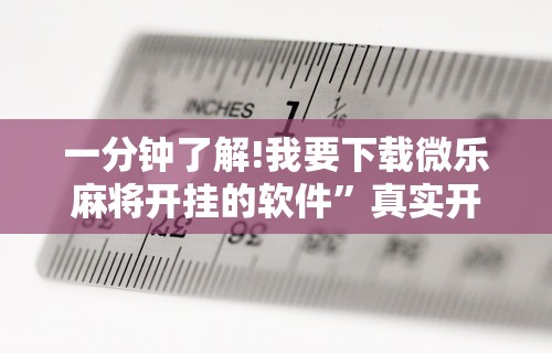科技媒体实测“熊猫大厅透视软件”(曝光透视必备猫腻)