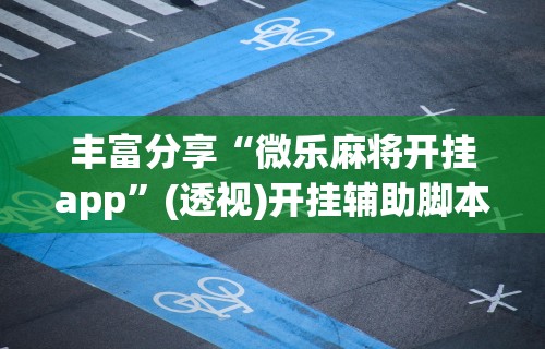 丰富分享“微乐麻将开挂app”(透视)开挂辅助脚本+详细开挂安装教程