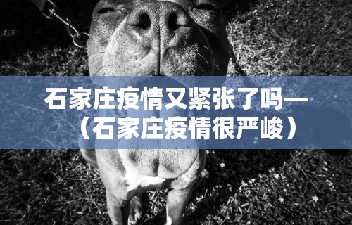 【玩家必看】“边锋辽宁棋牌有挂吗	”附开挂脚本详细步骤