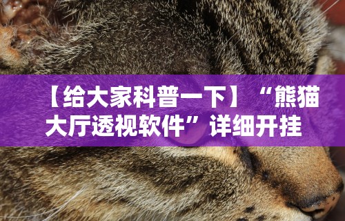 两分钟了解“开运麻将哪里可以买挂”开挂步骤方法