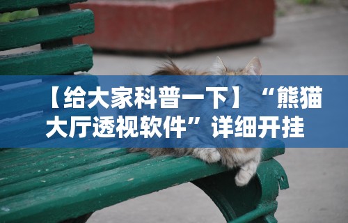 玩家必看教程“转转麻将有假没有”(透视)其实真的有挂