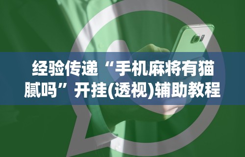 经验传递“手机麻将有猫腻吗”开挂(透视)辅助教程