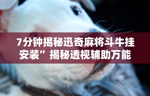 7分钟揭秘迅奇麻将斗牛挂安装	”揭秘透视辅助万能挂用法