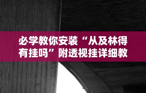 必学教你安装“从及林得有挂吗”附透视挂详细教程 