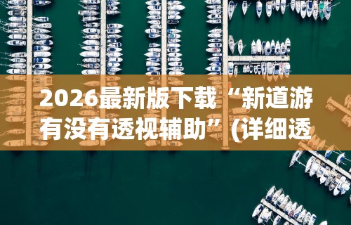 2026最新版下载“新道游有没有透视辅助”(详细透视教程)-