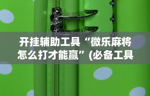 安装程序教程“福建开心泉州麻将有挂吗”详细开挂玩法