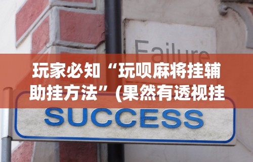 玩家必知“玩呗麻将挂辅助挂方法	”(果然有透视挂)