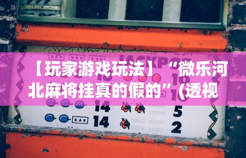 【玩家游戏玩法】“微乐河北麻将挂真的假的”(透视挂)辅助透视教程