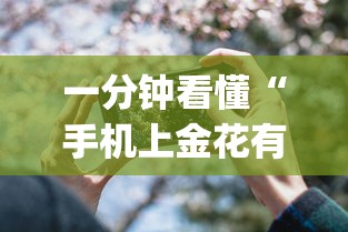 一分钟看懂“手机上金花有人开挂吗”(详细透视教程)