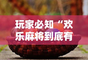 玩家必知“欢乐麻将到底有没有挂	”有挂详细开挂教程