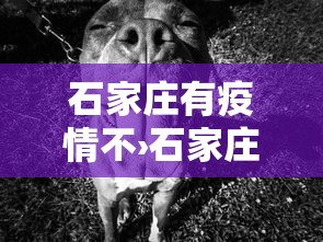重大来袭“微壳长沙麻将有没有挂”开挂(透视)辅助教程