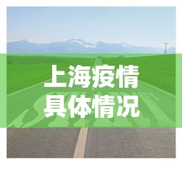 解析分享“友友麻将开挂”(透视挂)最新辅助详细教程