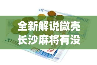 全新解说微壳长沙麻将有没有挂	”开挂(透视)辅助