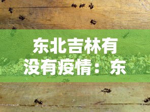 【盘点十款】“微信手机麻将输赢规律”(透视)其实真的有挂