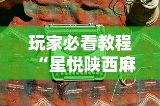 玩家必看教程“青鸟大厅金花有透视挂吗”科技辅助神器手机版教程