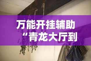 万能开挂辅助“青龙大厅到底有没有挂”分享用挂教程